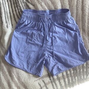 H&M Lavender Mesh Shorts